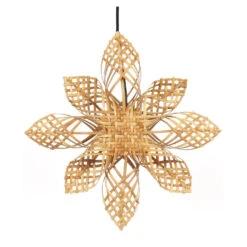 PR Home Anna Kerstster, Naturel