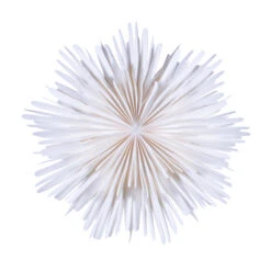 Watt & Veke Molly Adventsster 44 Cm -Verlichtingswinkel 43707 01 02 511da18336